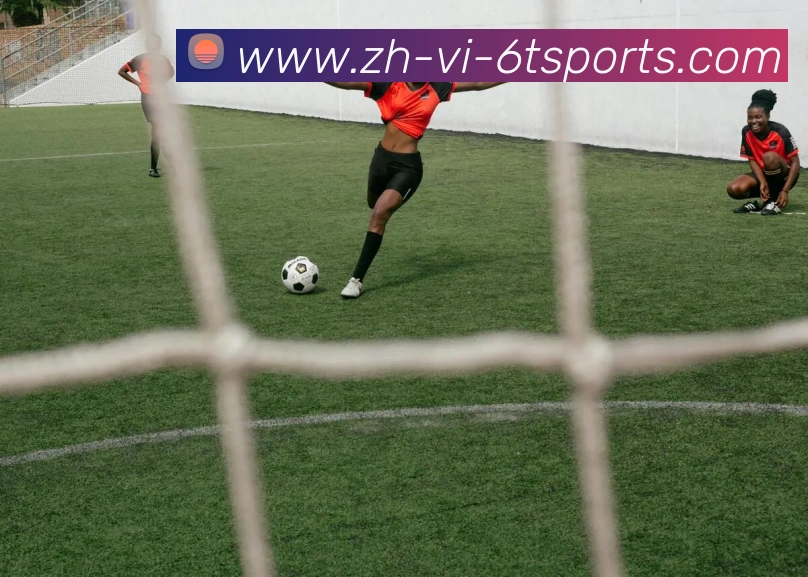 App Interface Preview