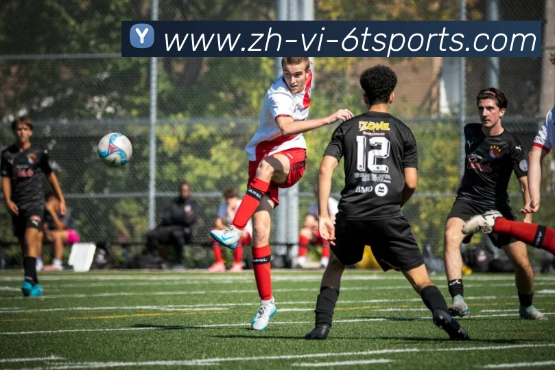 6T体育APP 封面图